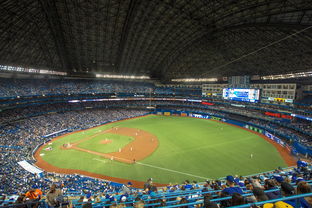 华体会-世界击剑锦标赛中国女花首次进四强，击剑世界冠军女