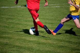 华体会在线下载-世界台球联赛中国队勇夺团体亚军，世界台球联赛中国队勇夺团体亚军是谁