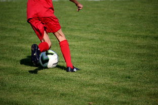 华体会官网入口-中国篮球俱乐部青训体系绩效评估方法，篮球俱乐部青训营