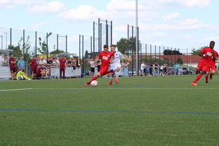 华体会app安装-未来足球运动场将实现环保材料全覆盖，绿色发展理念深入人心，室外足球场的运营方案